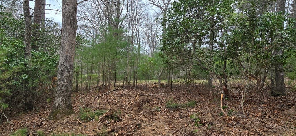 Lot 3-4 Scouts Overlook Lane, Morganton GA 30560 - Photo