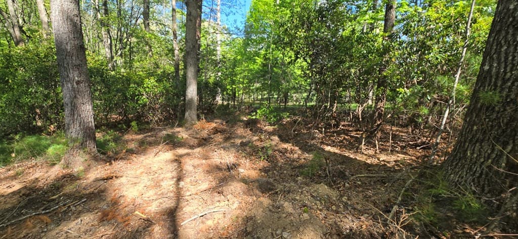 Lot 3-4 Scouts Overlook Lane, Morganton GA 30560 - Photo