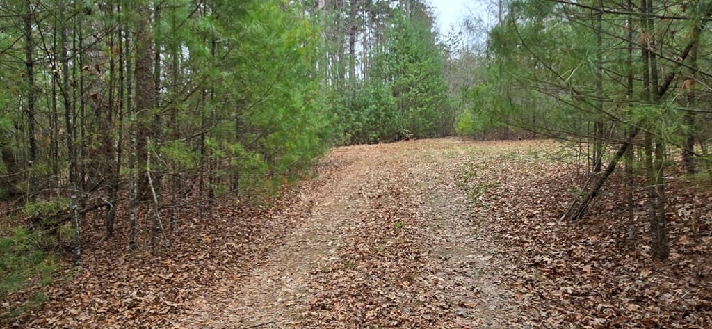 Lot 3-4 Scouts Overlook Lane, Morganton GA 30560 - Photo