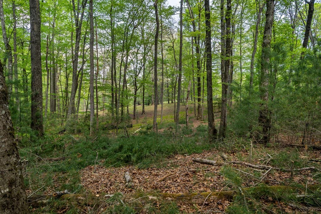 Lot 3-4 Scouts Overlook Lane, Morganton GA 30560 - Photo