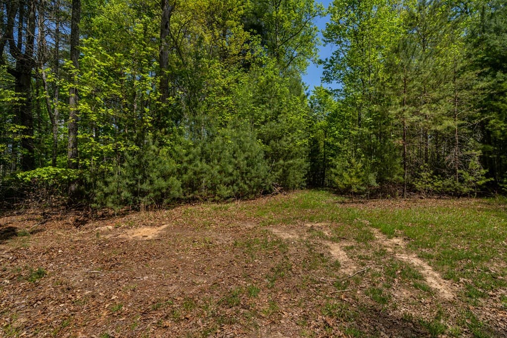 Lot 3-4 Scouts Overlook Lane, Morganton GA 30560 - Photo