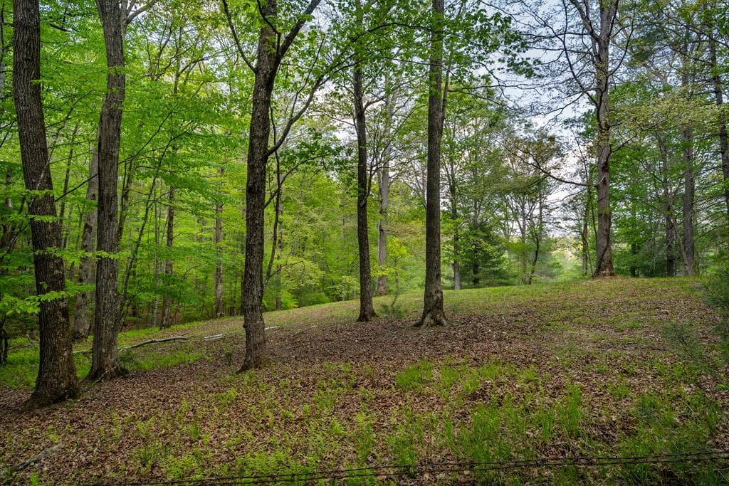 Lot 3-4 Scouts Overlook Lane, Morganton GA 30560 - Primary photo