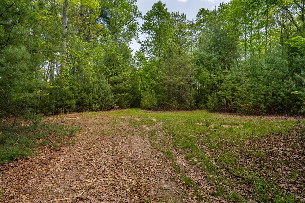 Lot 3-4 Scouts Overlook Lane, Morganton GA 30560 - Photo