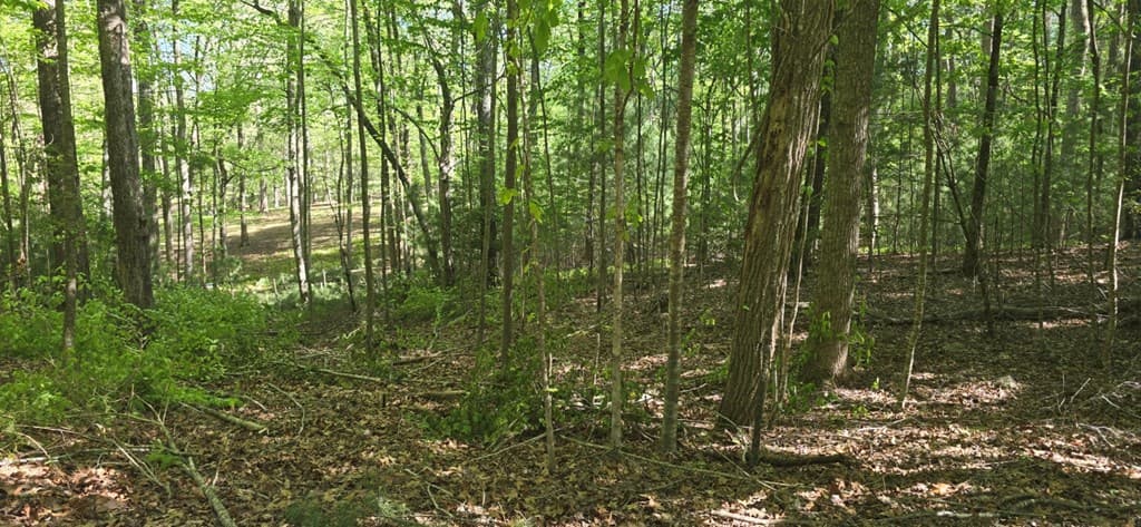 Lot 3-4 Scouts Overlook Lane, Morganton GA 30560 - Photo