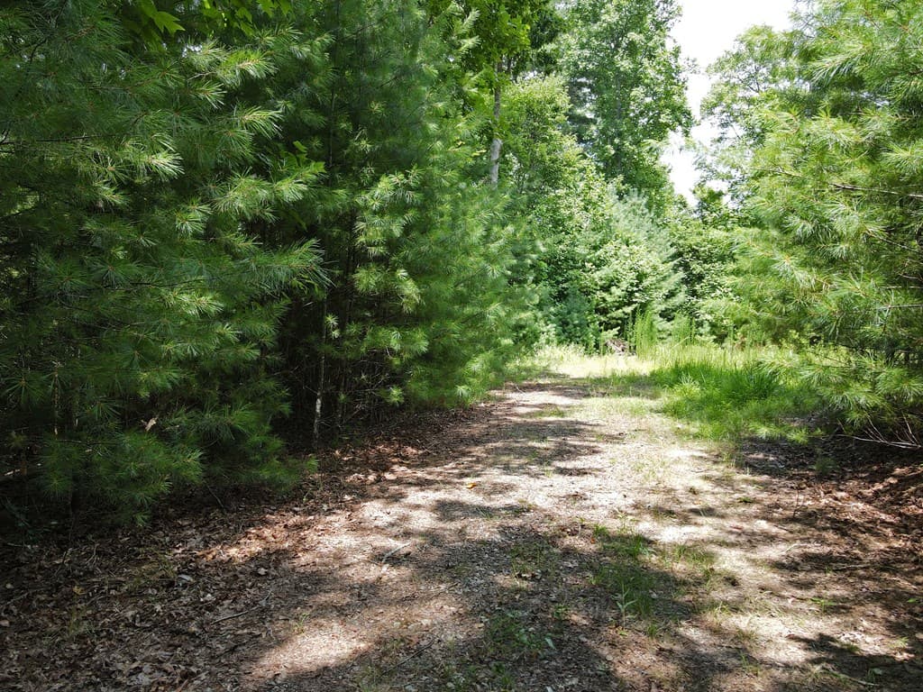 Lot 3-4 Scouts Overlook Lane, Morganton GA 30560 - Photo