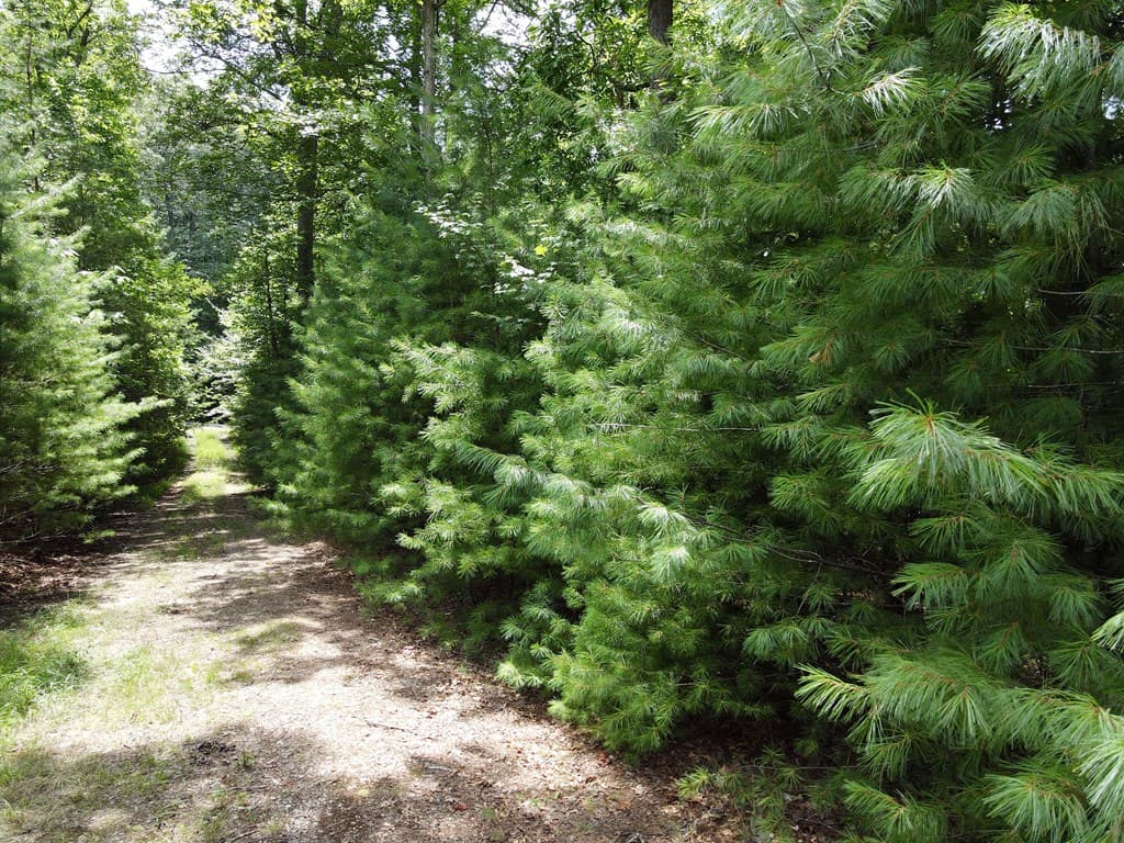 Lot 3-4 Scouts Overlook Lane, Morganton GA 30560 - Photo
