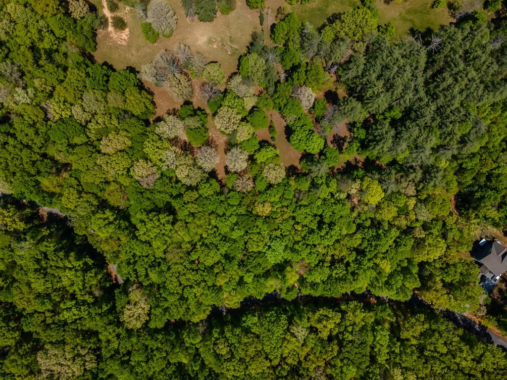 Lot 3-4 Scouts Overlook Lane, Morganton GA 30560 - Photo
