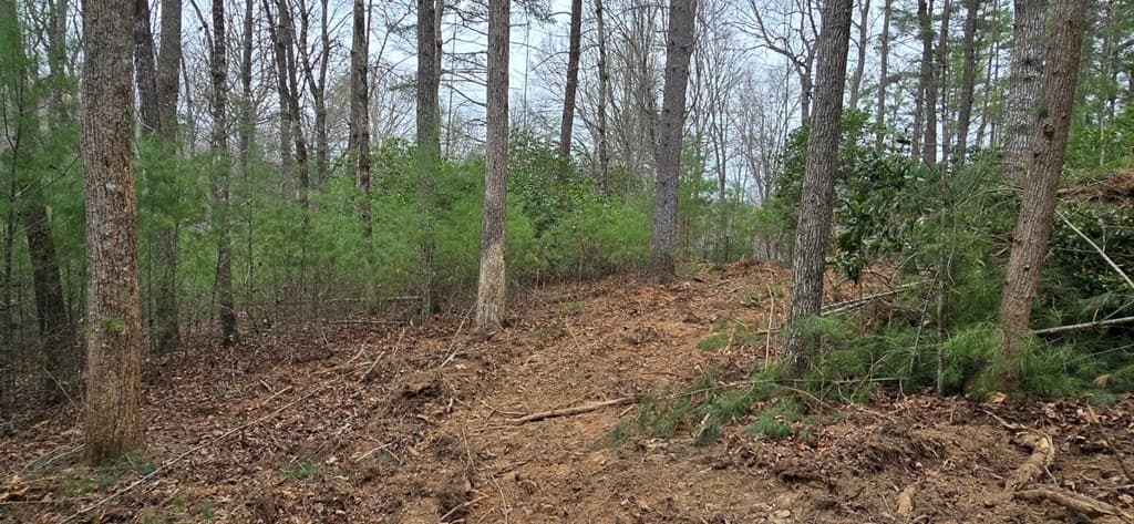 Lot 3-4 Scouts Overlook Lane, Morganton GA 30560 - Photo