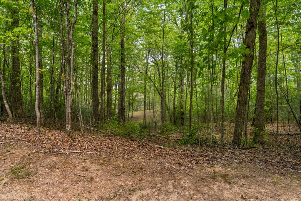 Lot 3-4 Scouts Overlook Lane, Morganton GA 30560 - Photo