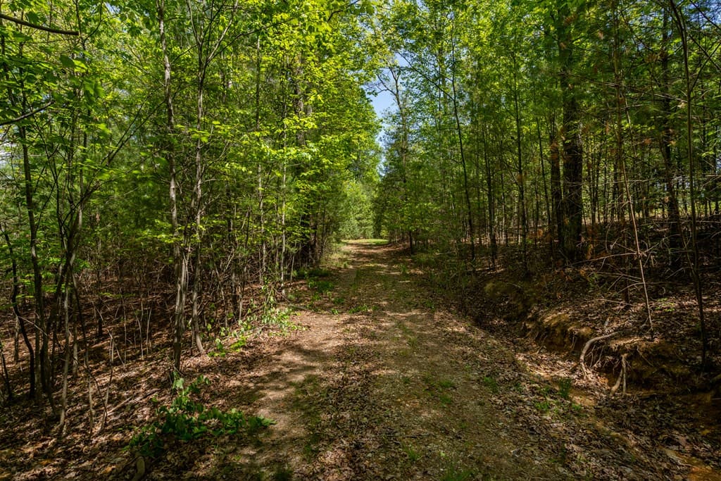 Lot 3-4 Scouts Overlook Lane, Morganton GA 30560 - Photo
