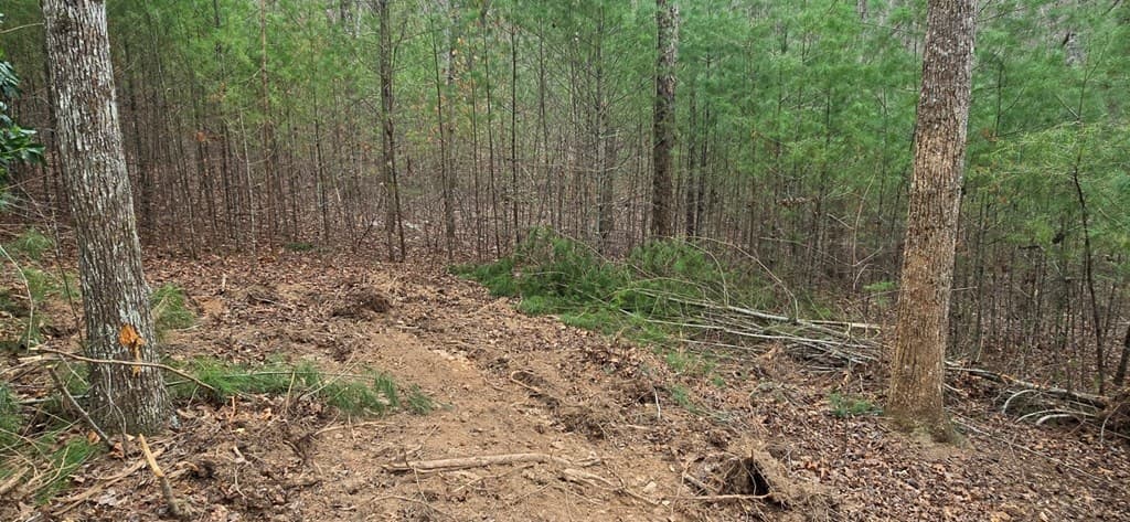 Lot 3-4 Scouts Overlook Lane, Morganton GA 30560 - Photo