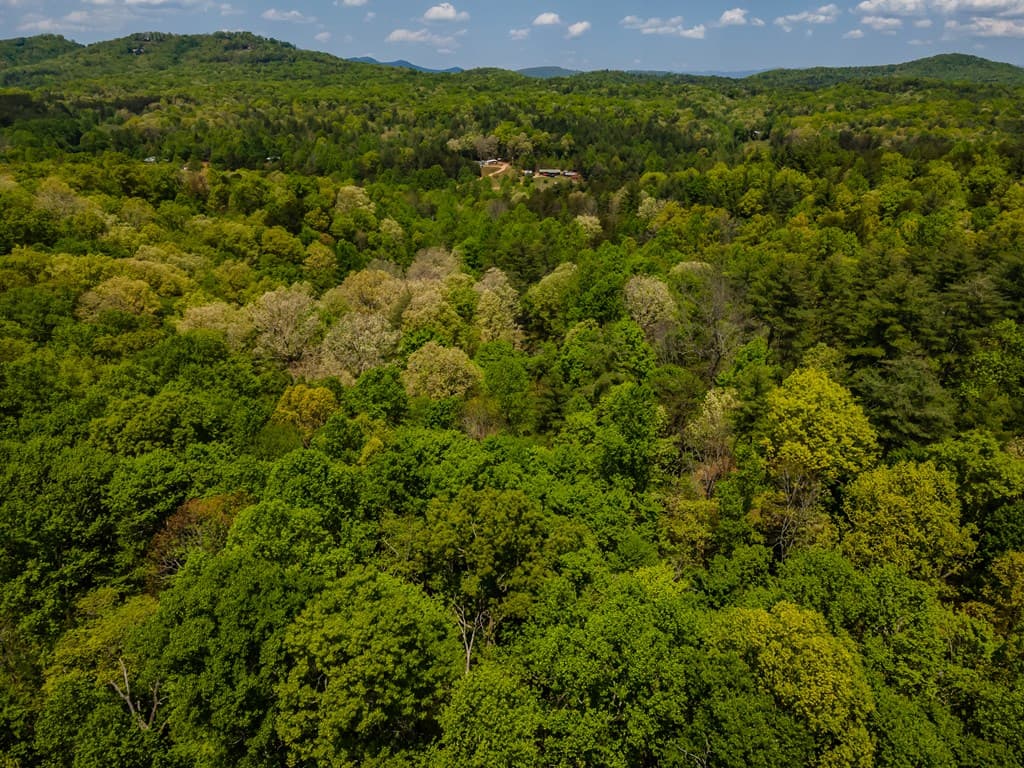 Lot 3-4 Scouts Overlook Lane, Morganton GA 30560 - Photo