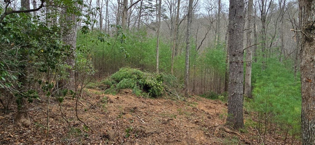 Lot 3-4 Scouts Overlook Lane, Morganton GA 30560 - Photo