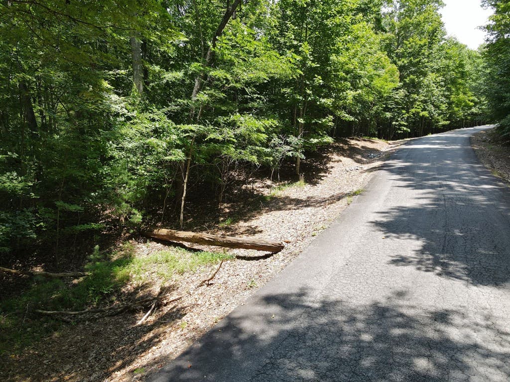 Lot 3-4 Scouts Overlook Lane, Morganton GA 30560 - Photo