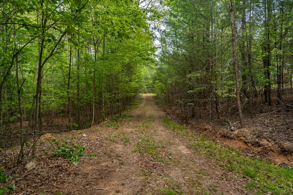 Lot 3-4 Scouts Overlook Lane, Morganton GA 30560 - Photo