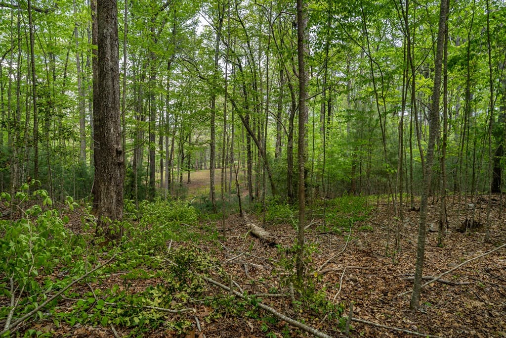 Lot 3-4 Scouts Overlook Lane, Morganton GA 30560 - Photo