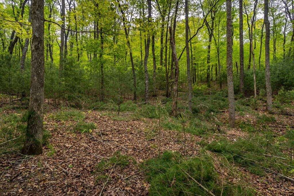 Lot 3-4 Scouts Overlook Lane, Morganton GA 30560 - Photo