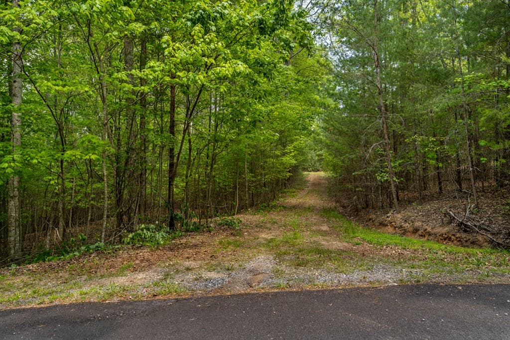 Lot 3-4 Scouts Overlook Lane, Morganton GA 30560 - Photo