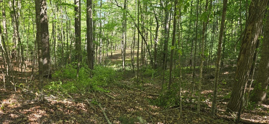 Lot 3-4 Scouts Overlook Lane, Morganton GA 30560 - Photo