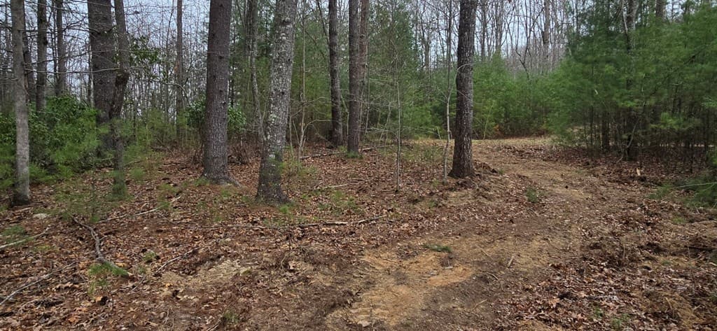 Lot 3-4 Scouts Overlook Lane, Morganton GA 30560 - Photo