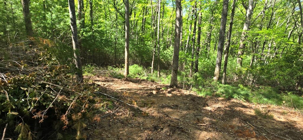 Lot 3-4 Scouts Overlook Lane, Morganton GA 30560 - Photo