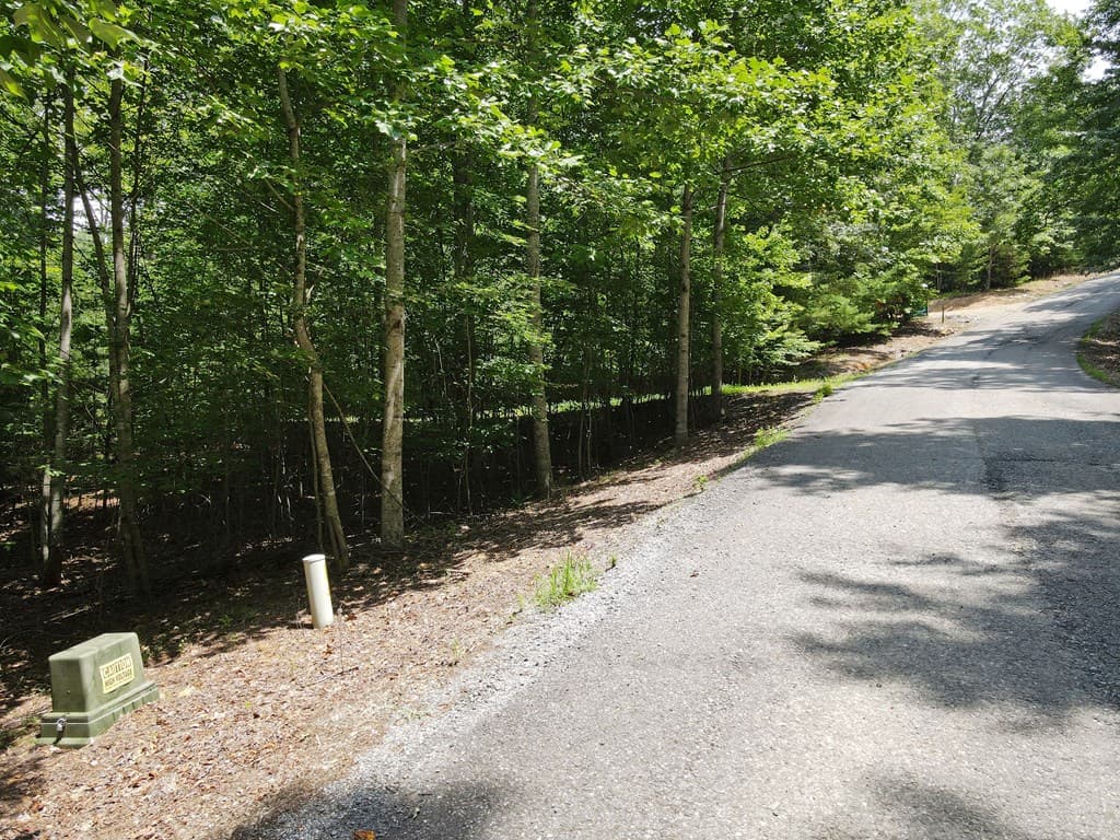 Lot 3-4 Scouts Overlook Lane, Morganton GA 30560 - Photo