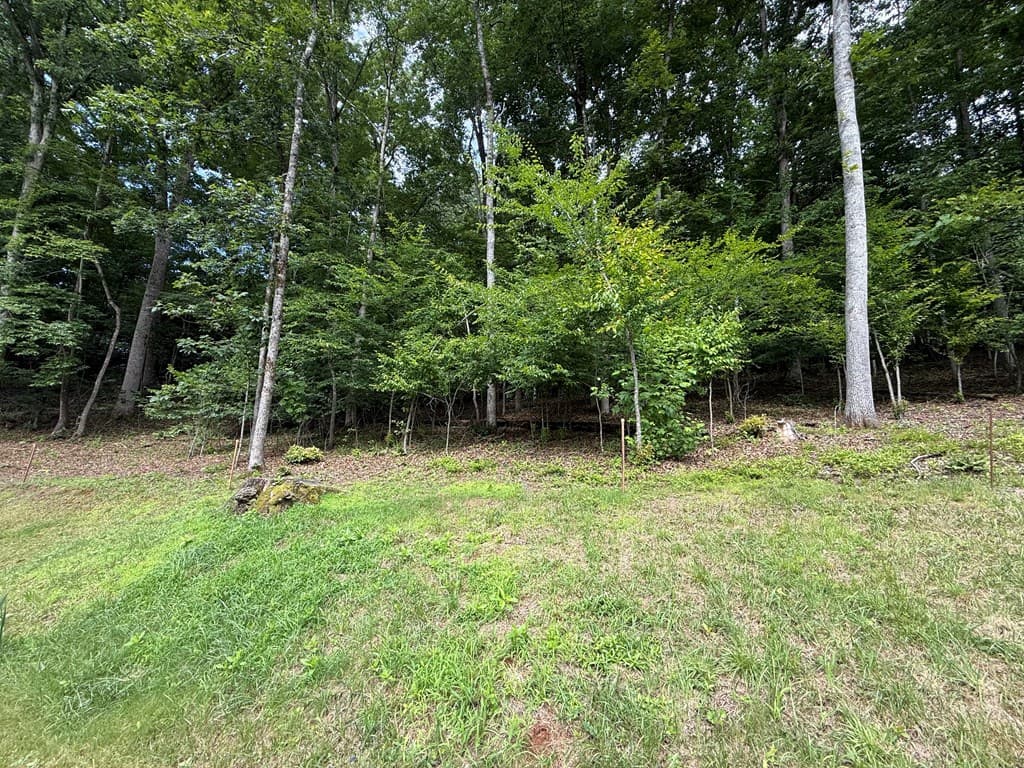 248 Ledford Chapel Road, Hayesville NC 28904 - Photo