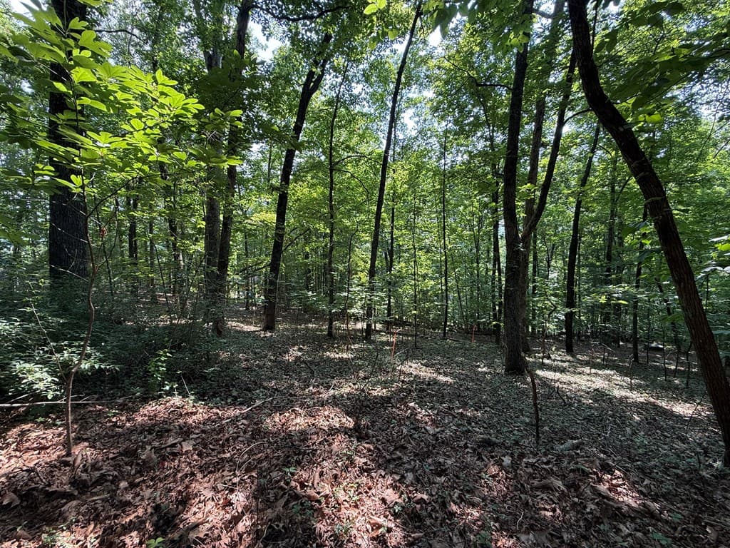 248 Ledford Chapel Road, Hayesville NC 28904 - Photo