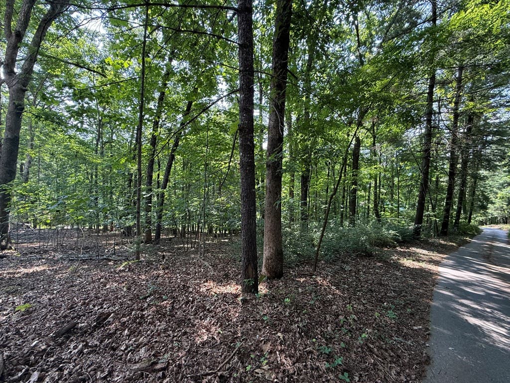 248 Ledford Chapel Road, Hayesville NC 28904 - Photo