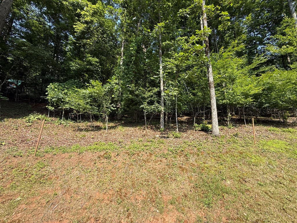 248 Ledford Chapel Road, Hayesville NC 28904 - Photo