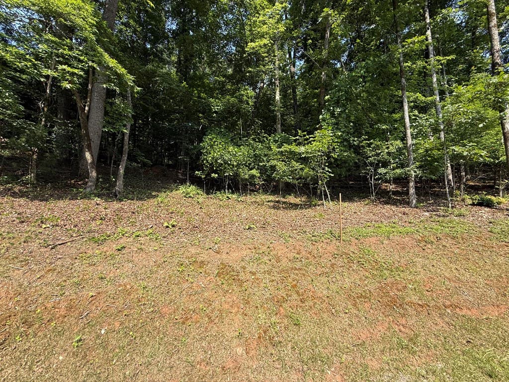 248 Ledford Chapel Road, Hayesville NC 28904 - Photo