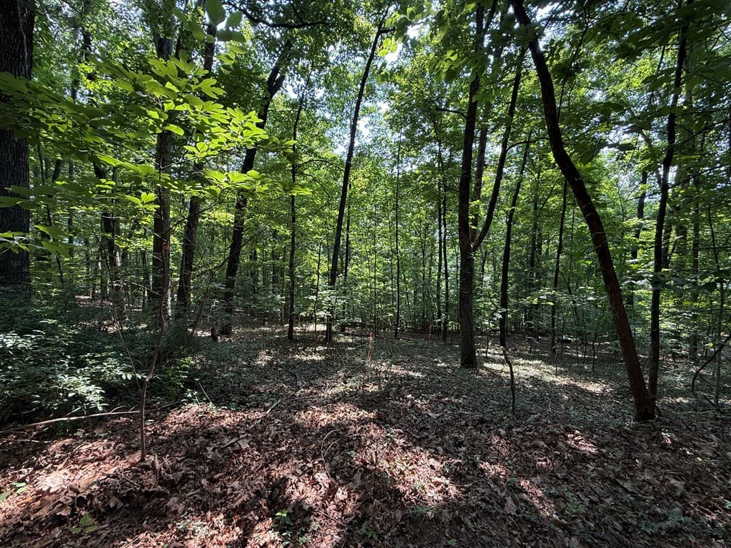 248 Ledford Chapel Road, Hayesville NC 28904 - Photo