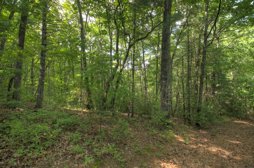 0 Menagerie Ridge, Epworth GA 30541 - Photo