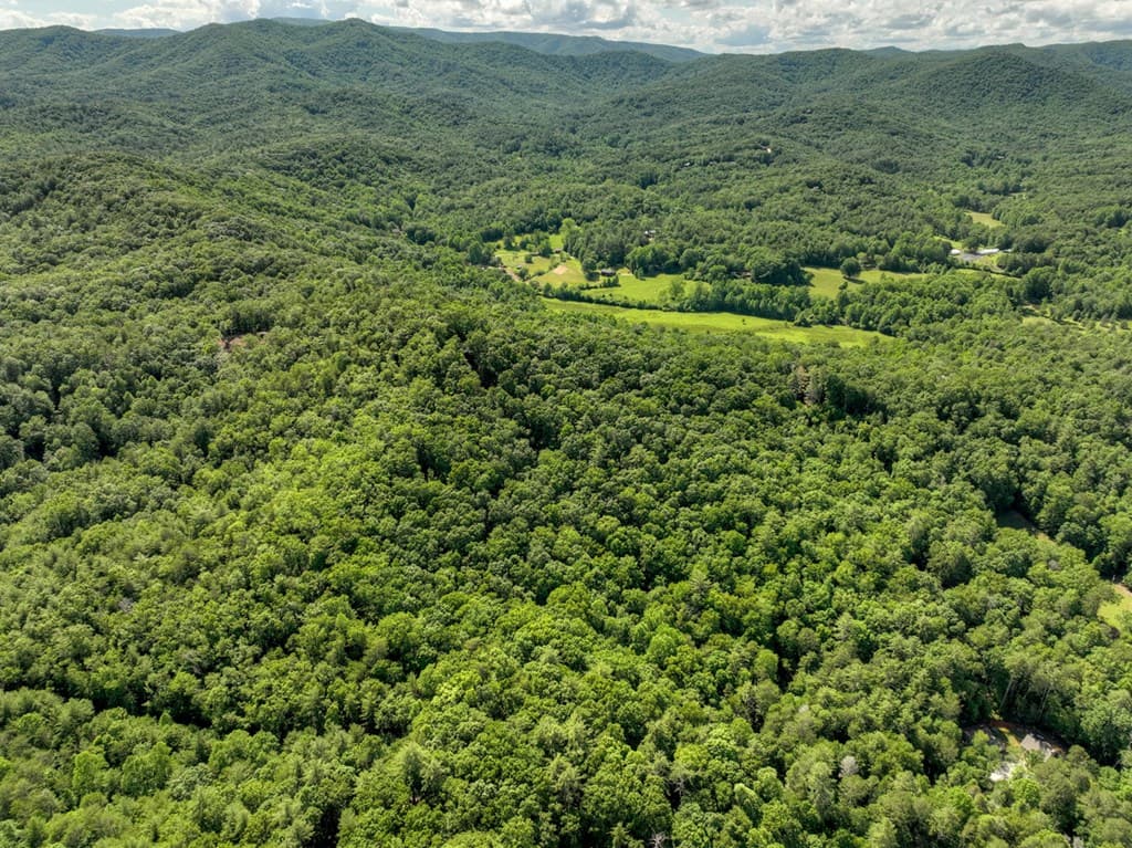 0 Menagerie Ridge, Epworth GA 30541 - Photo