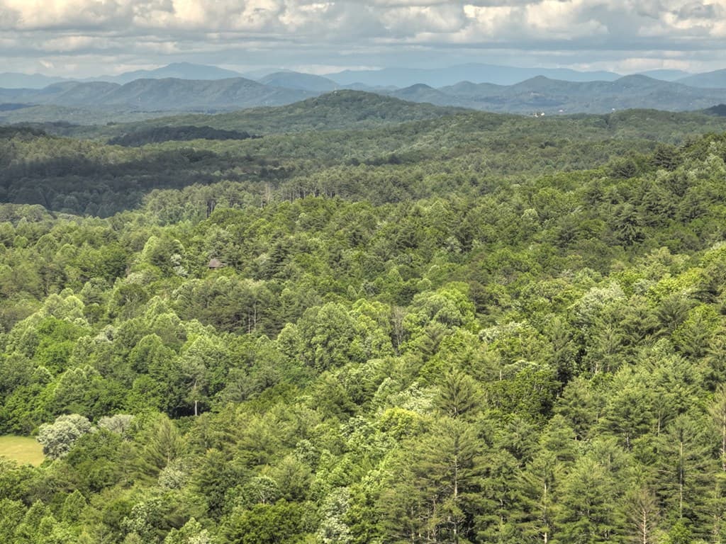 0 Menagerie Ridge, Epworth GA 30541 - Photo