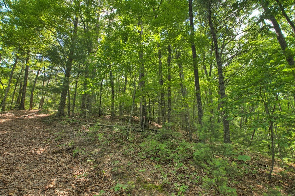 0 Menagerie Ridge, Epworth GA 30541 - Photo