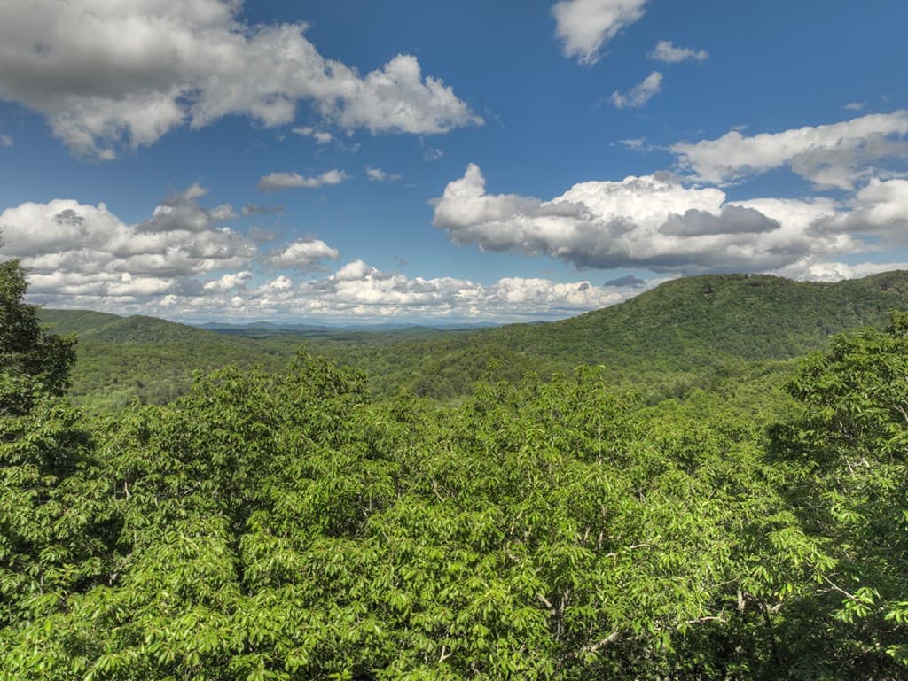 0 Menagerie Ridge, Epworth GA 30541 - Photo