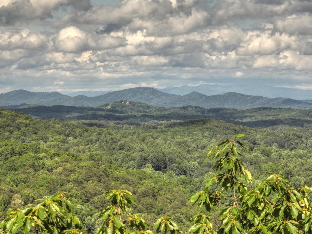 0 Menagerie Ridge, Epworth GA 30541 - Primary photo