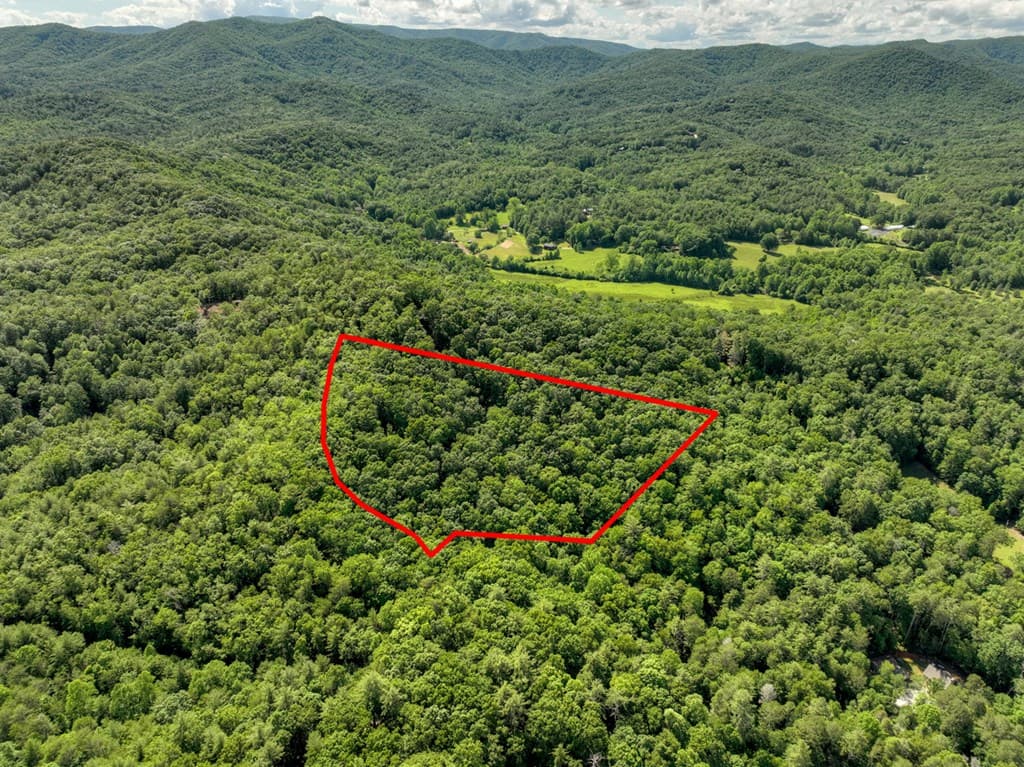 0 Menagerie Ridge, Epworth GA 30541 - Photo