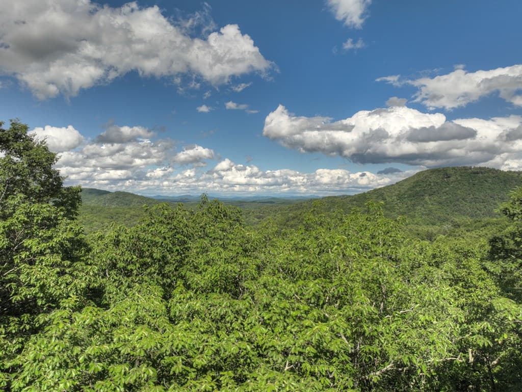 0 Menagerie Ridge, Epworth GA 30541 - Photo
