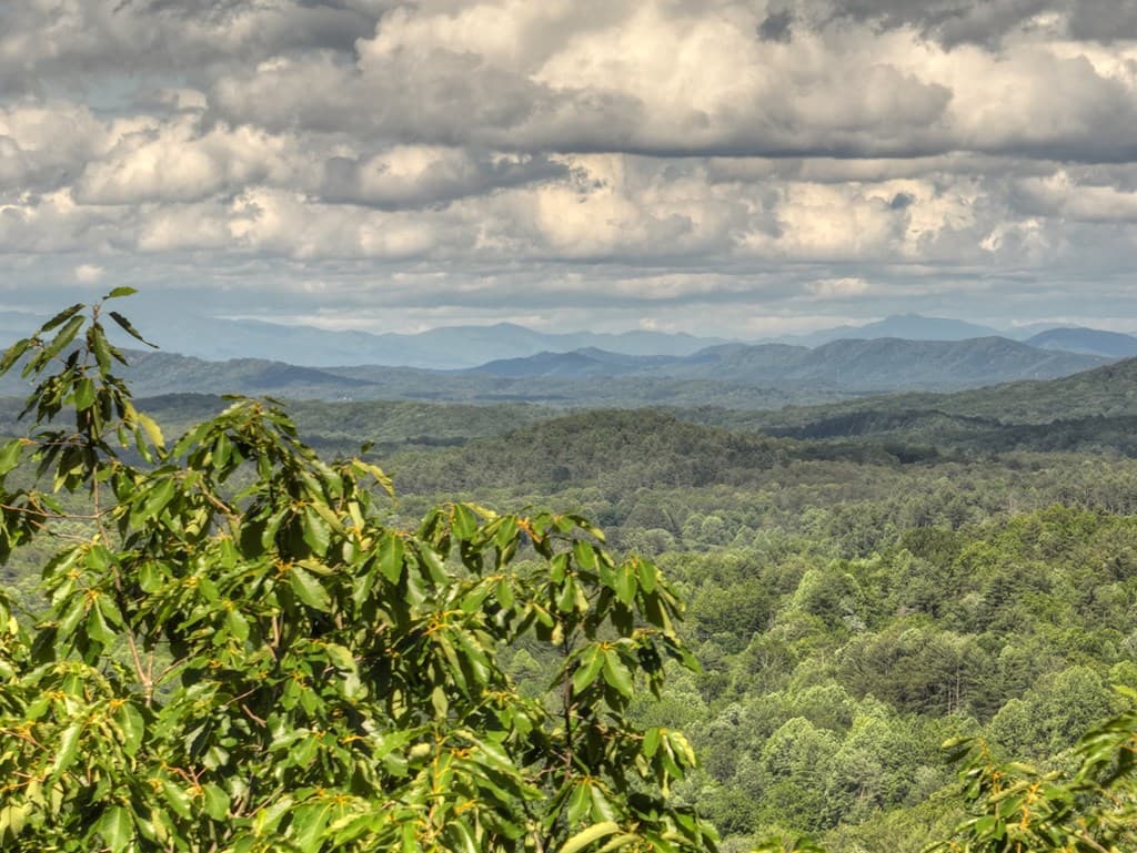 0 Menagerie Ridge, Epworth GA 30541 - Photo