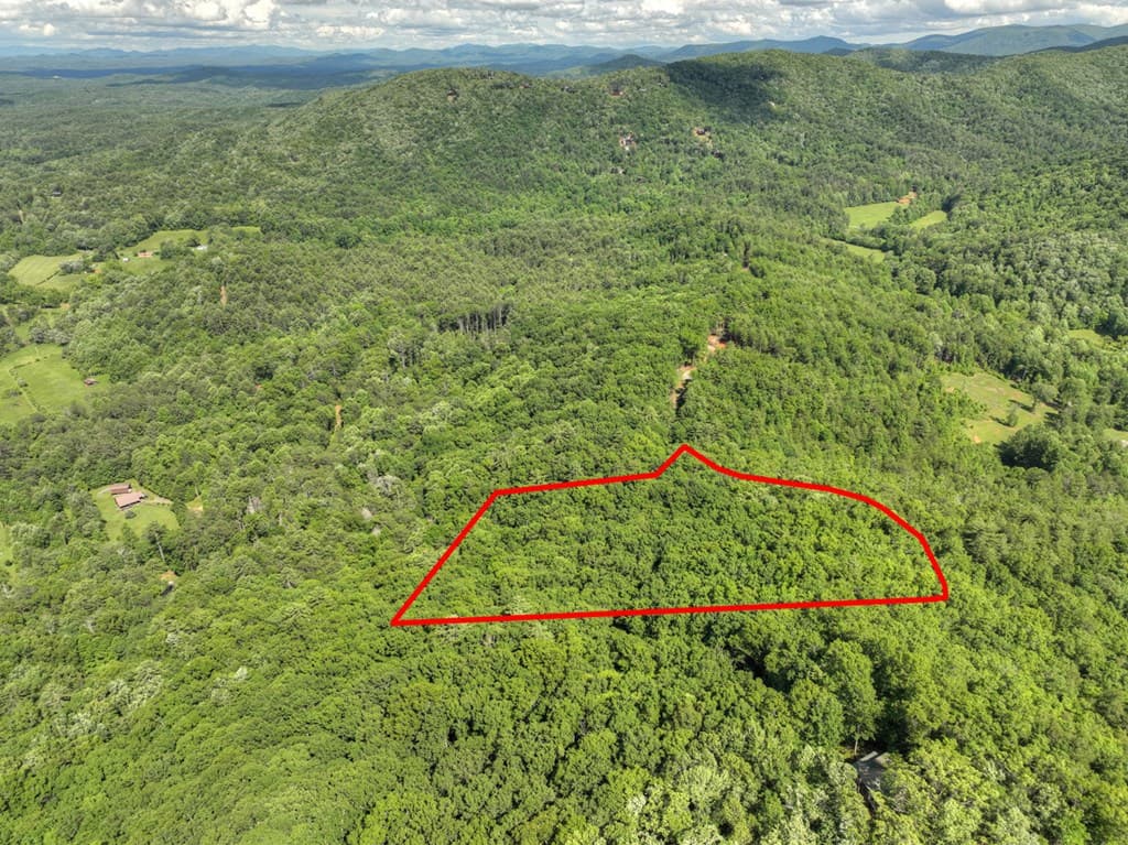 0 Menagerie Ridge, Epworth GA 30541 - Photo
