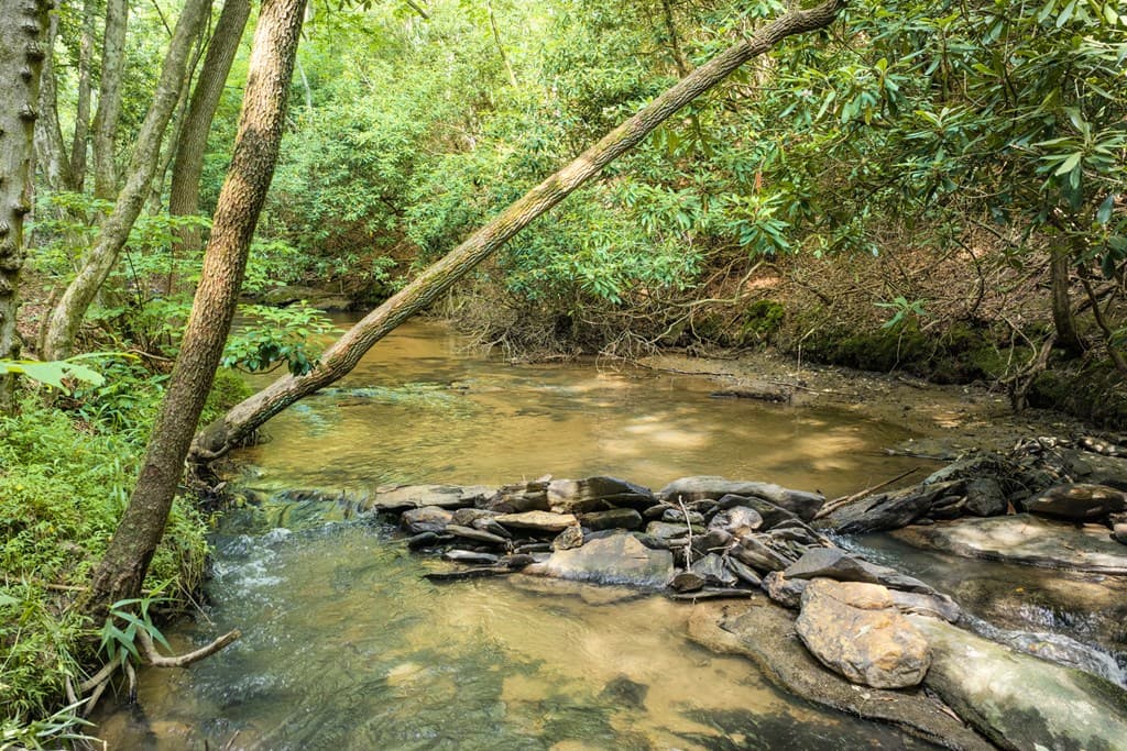 00 Mill Race Drive, Mineral Bluff GA 30559 - Photo