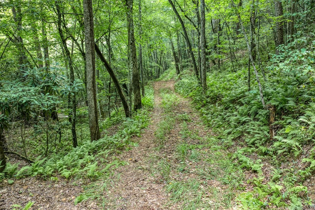 00 Mill Race Drive, Mineral Bluff GA 30559 - Photo
