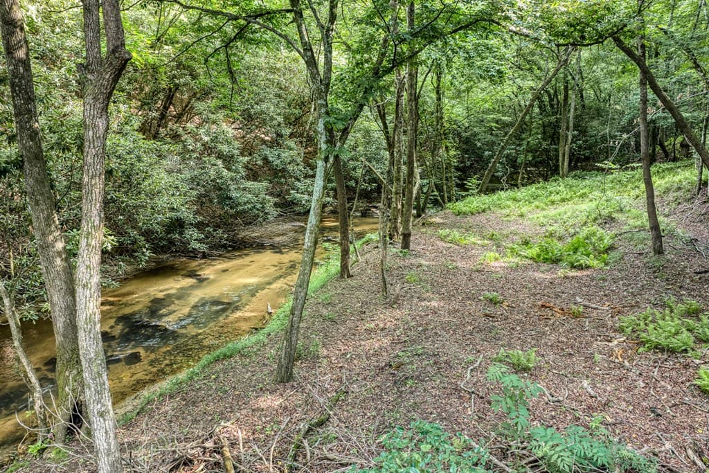 00 Mill Race Drive, Mineral Bluff GA 30559 - Photo