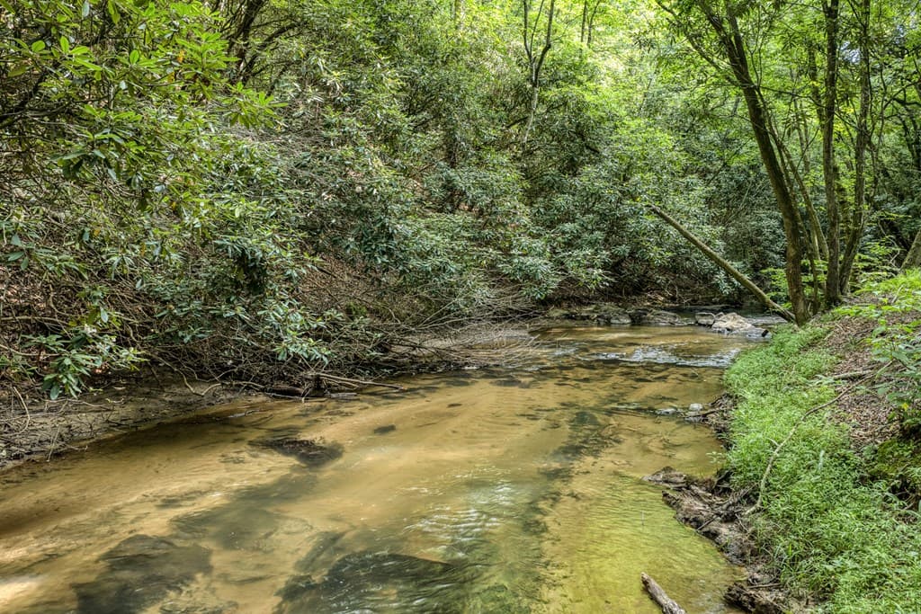 00 Mill Race Drive, Mineral Bluff GA 30559 - Photo