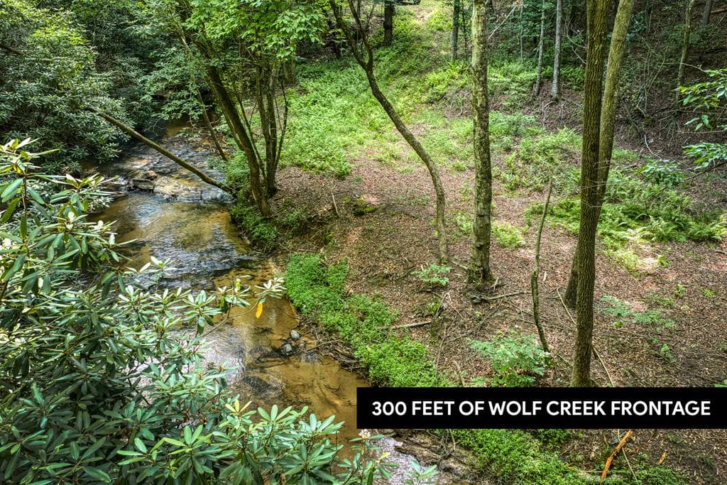00 Mill Race Drive, Mineral Bluff GA 30559 - Primary photo