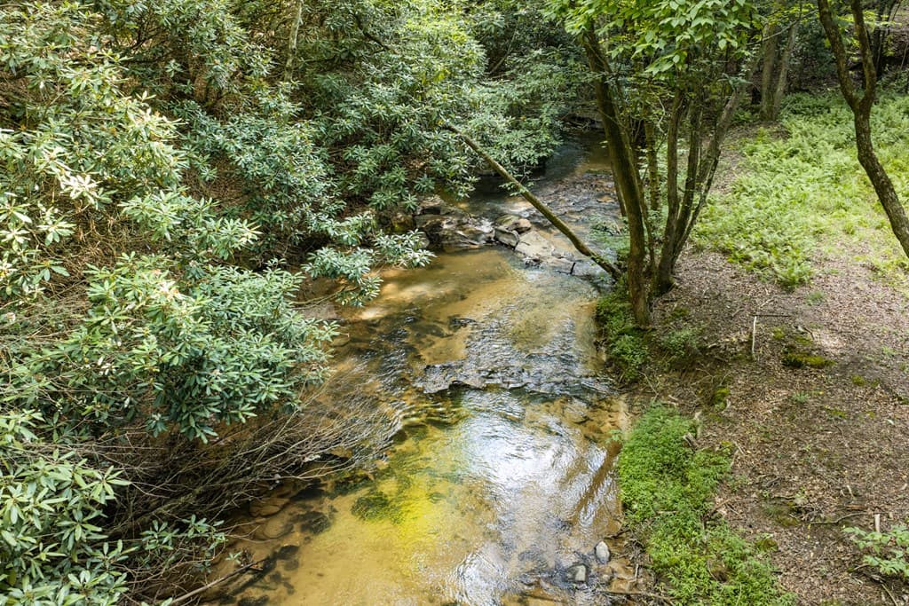00 Mill Race Drive, Mineral Bluff GA 30559 - Photo
