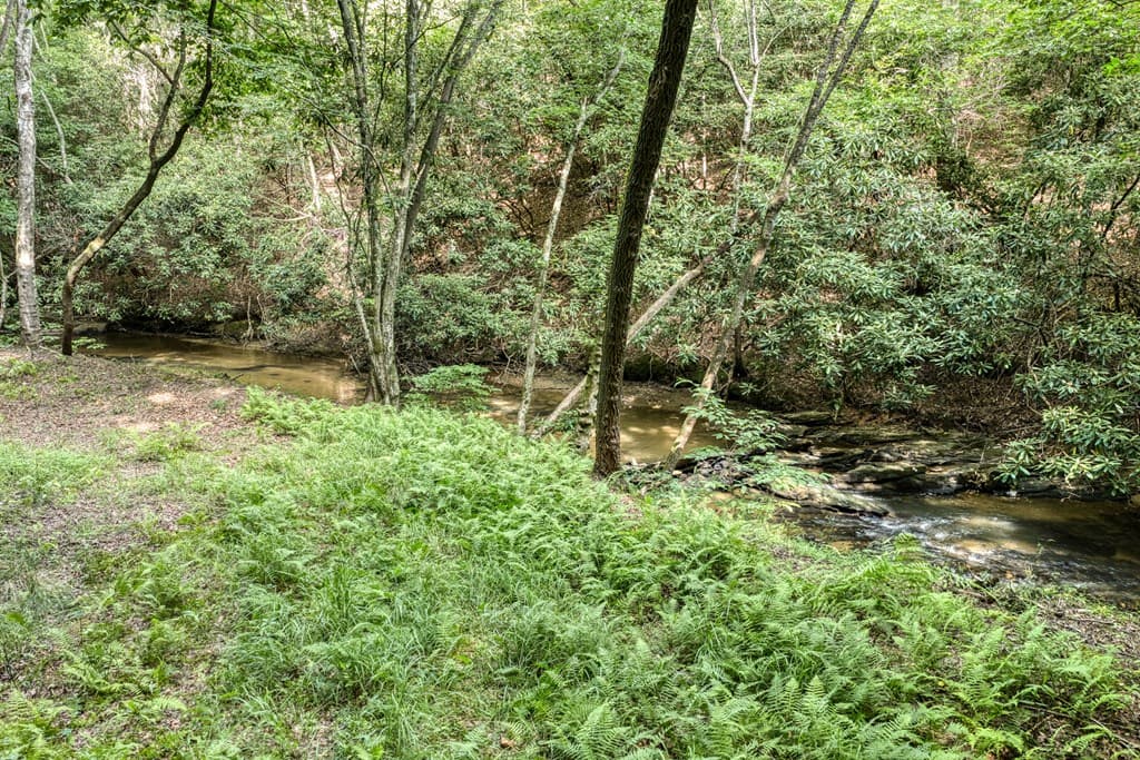 00 Mill Race Drive, Mineral Bluff GA 30559 - Photo