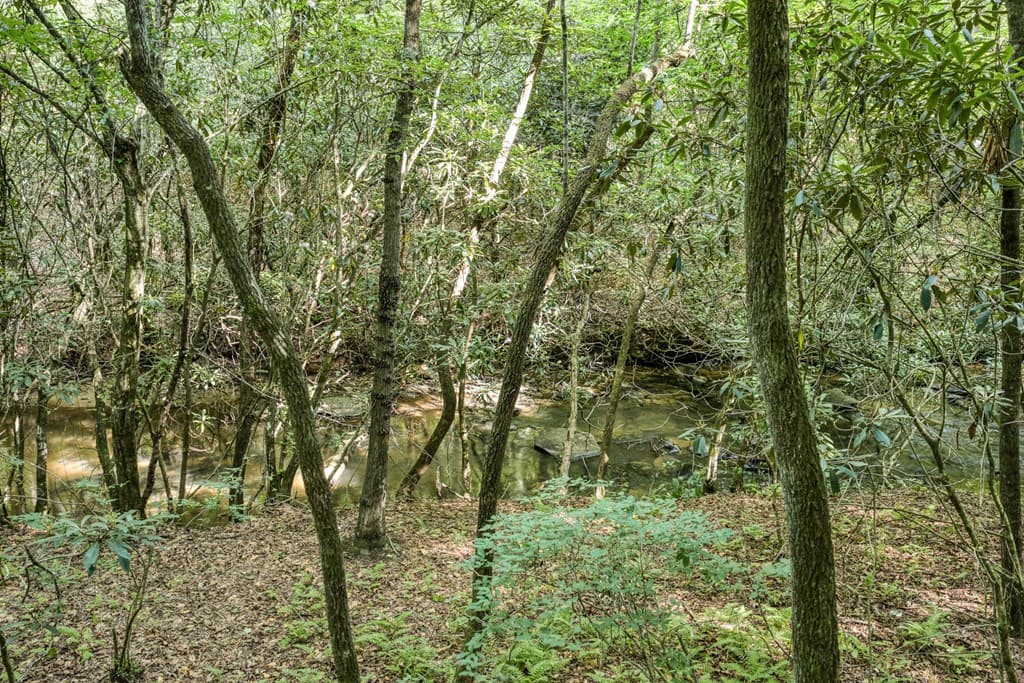 00 Mill Race Drive, Mineral Bluff GA 30559 - Photo